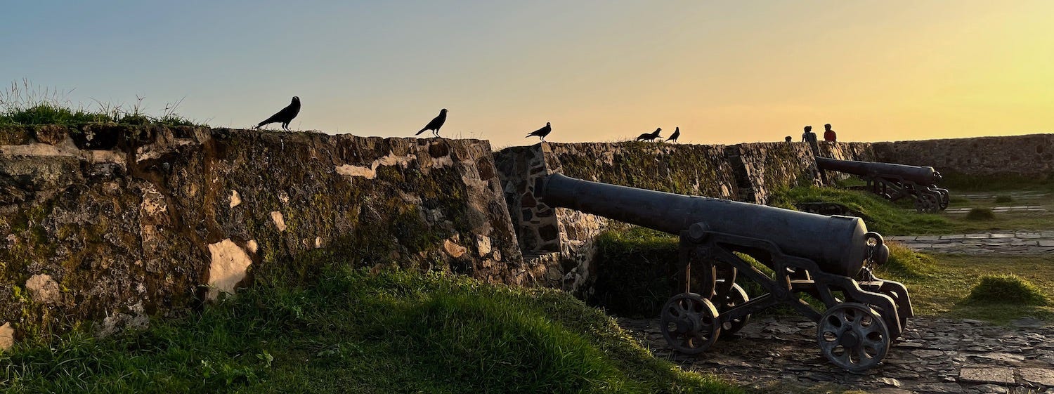 Birds sit in front of a cannon