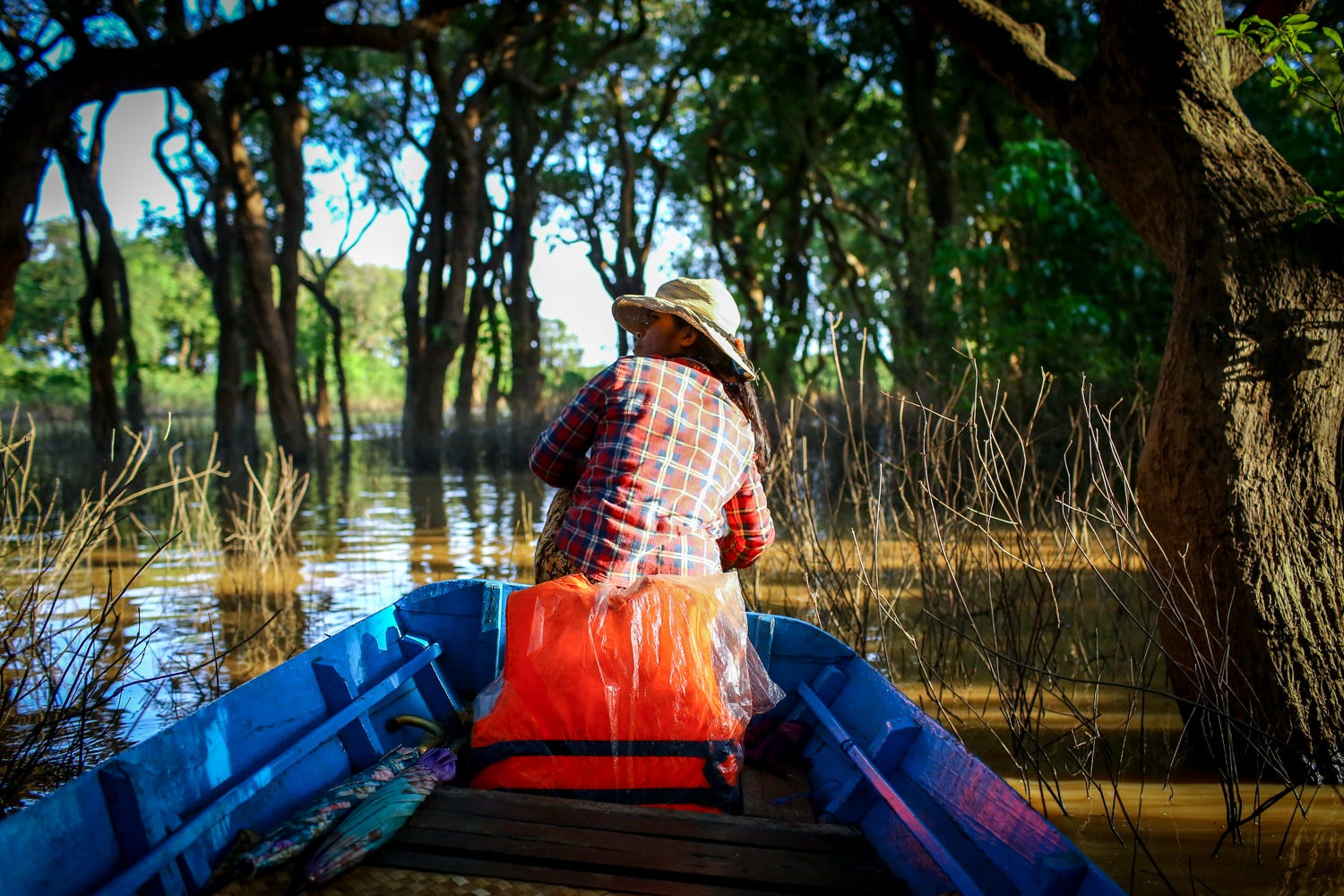 A woman in a plaid shirt is sitting at the front of a small, blue boat, wearing a straw hat and turning to look over her shoulder to speak to the photographer. All around the boat are large trees growing out of a lake. This is a "floating forest" though only the boat floats.