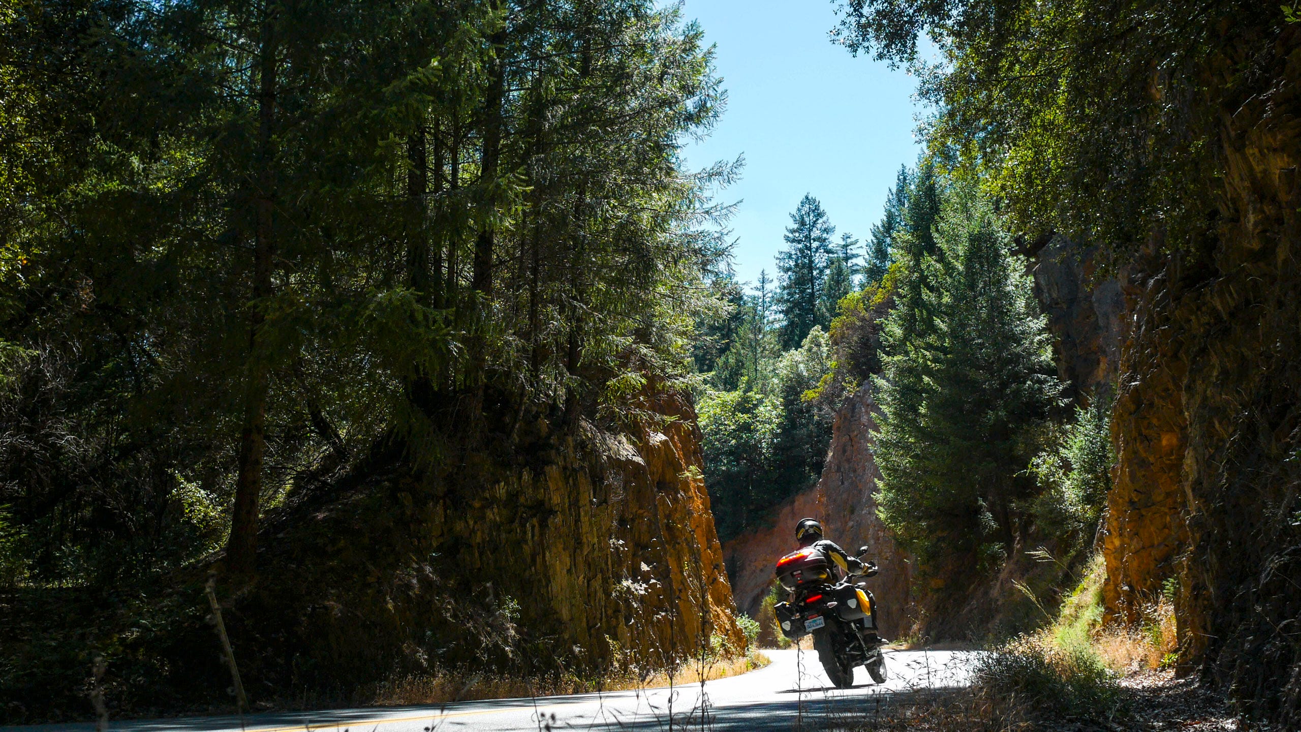 A motorcycle rider leans into a left hand bend on a road that cuts through a thick evergreen forest. The road is cut through rock which lines the roadway, above with the trees grow. Much of the photo is in shade while other parts, including the rider, is in bright sun.
