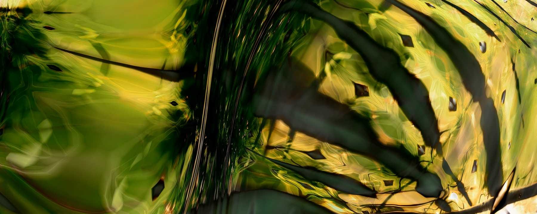 Still image from Cosmic Insignificance Therapy by Tim Murray-Browne showing an abstract green image reminiscent of a leaf.