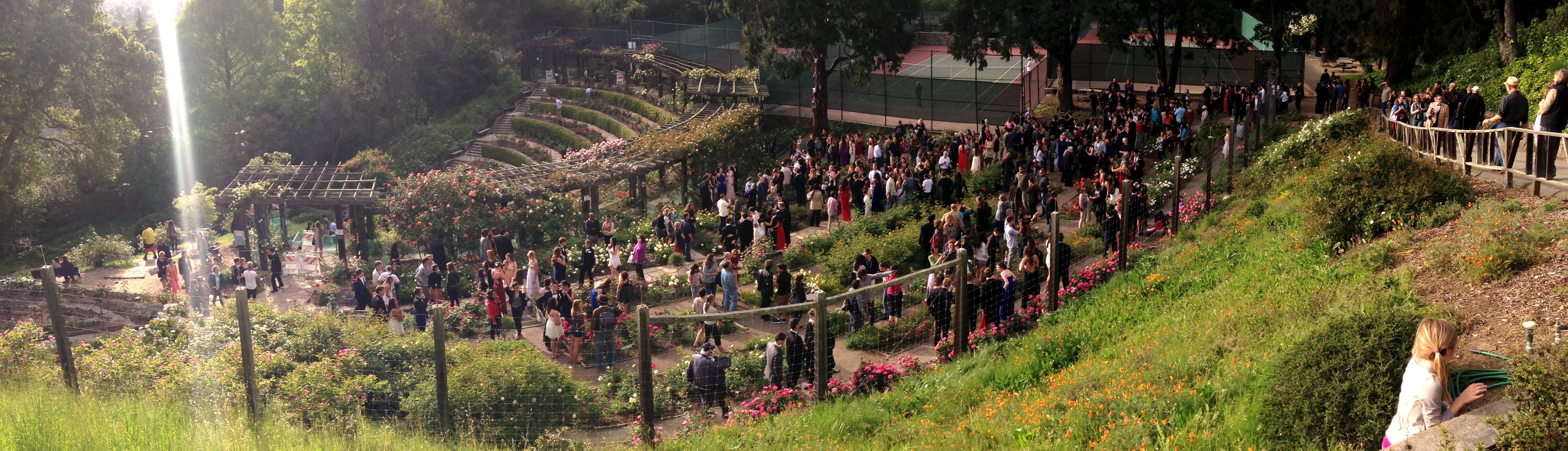 A gathering of people in a community. In this case at the Rose Garden in Berkeley California ~2014