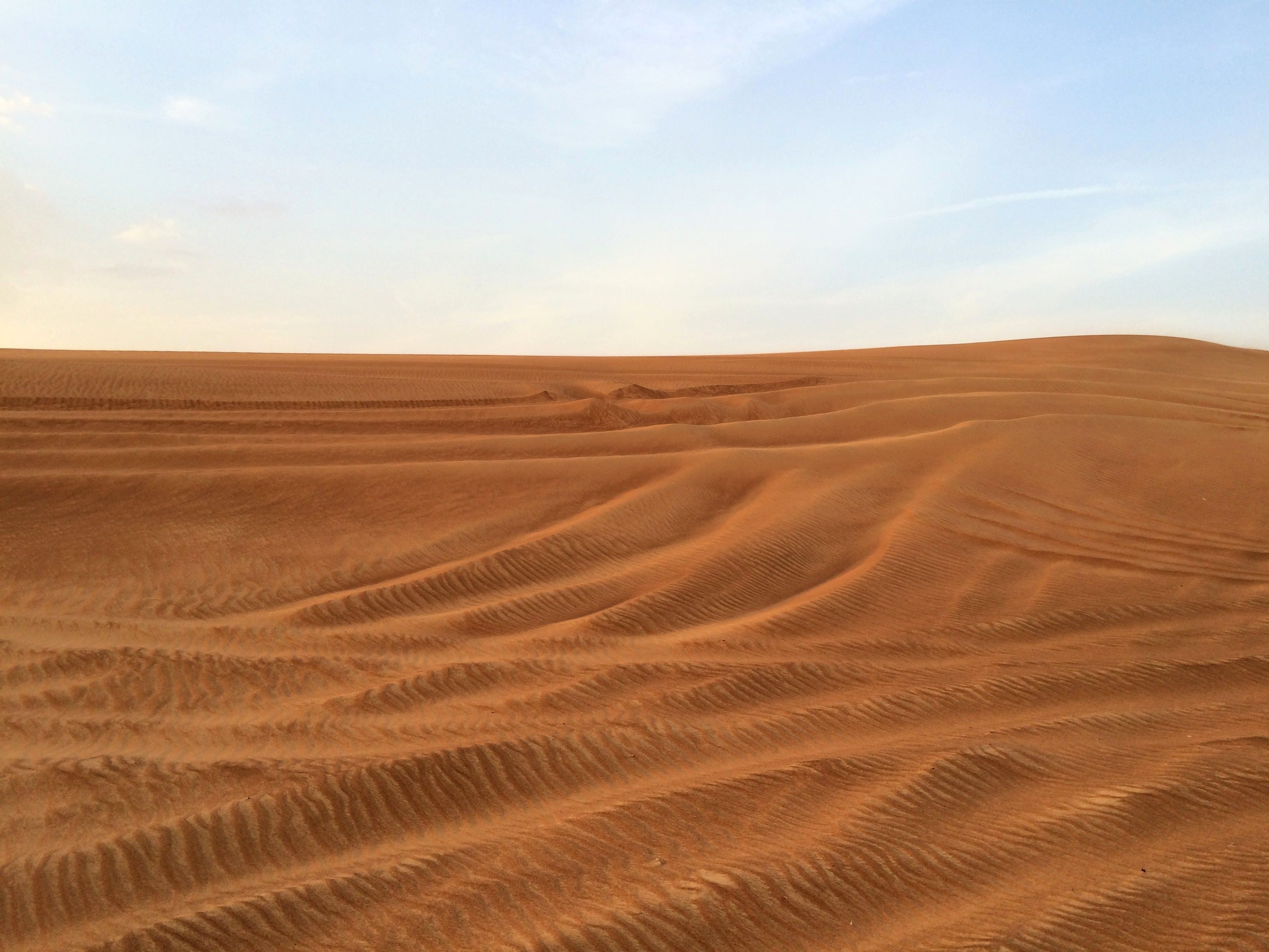 Arabian Desert - Wikipedia