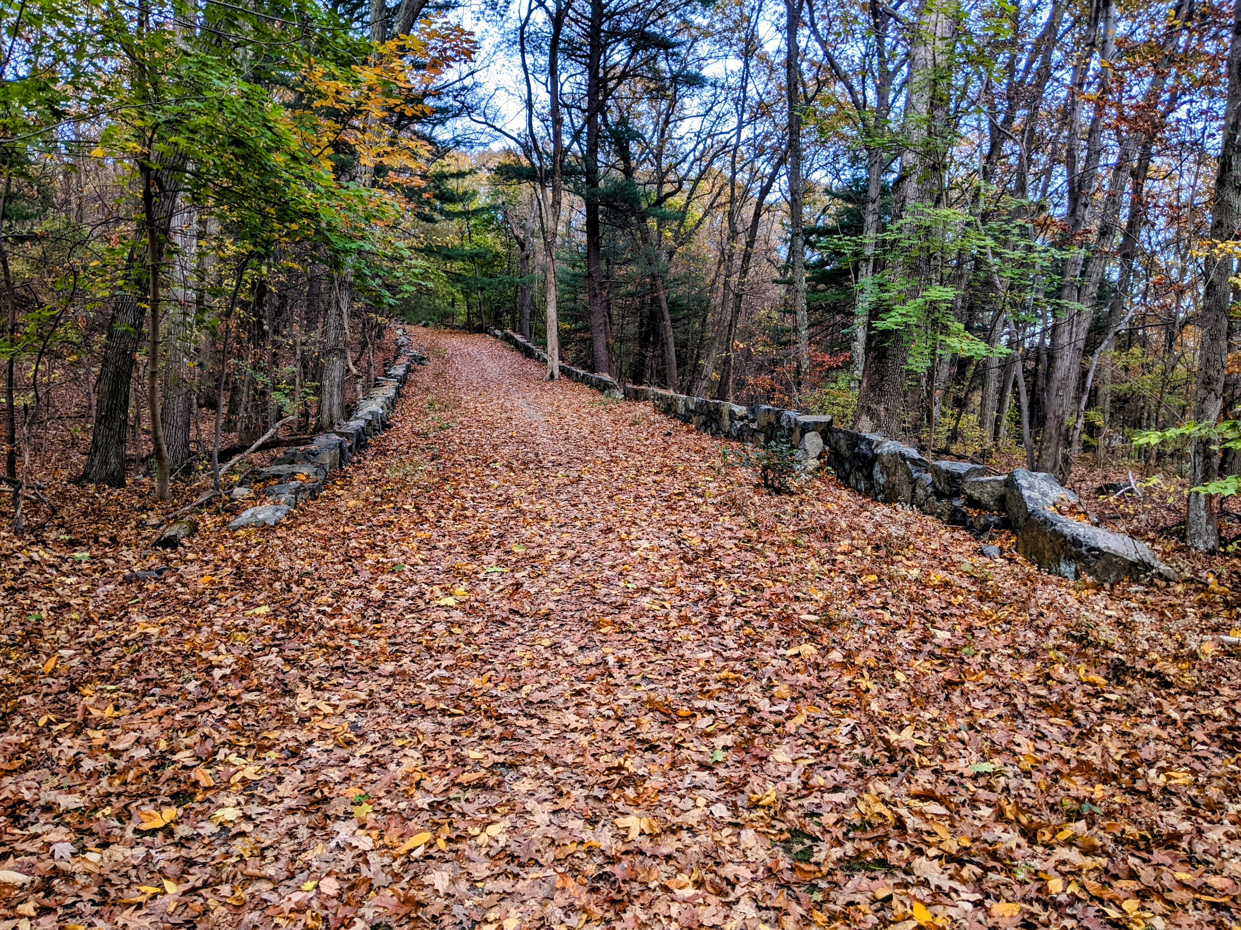 Lone Tree Hill, Belmont, Massachusetts Lone Tree Hill, Belmont, Massachusetts