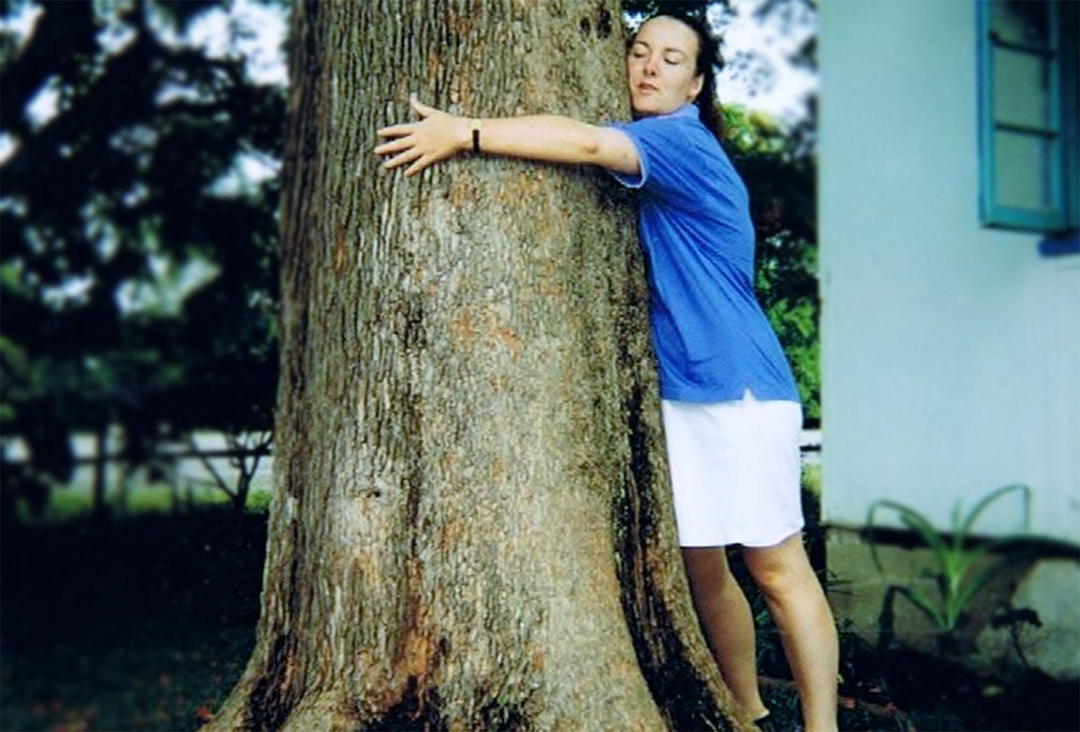 Tina Dubinsky aka Tuna hugs a big silky oak tree. Tina is in her twenties and has returned to her old home to hug a tree and avoid the responsibility of work.