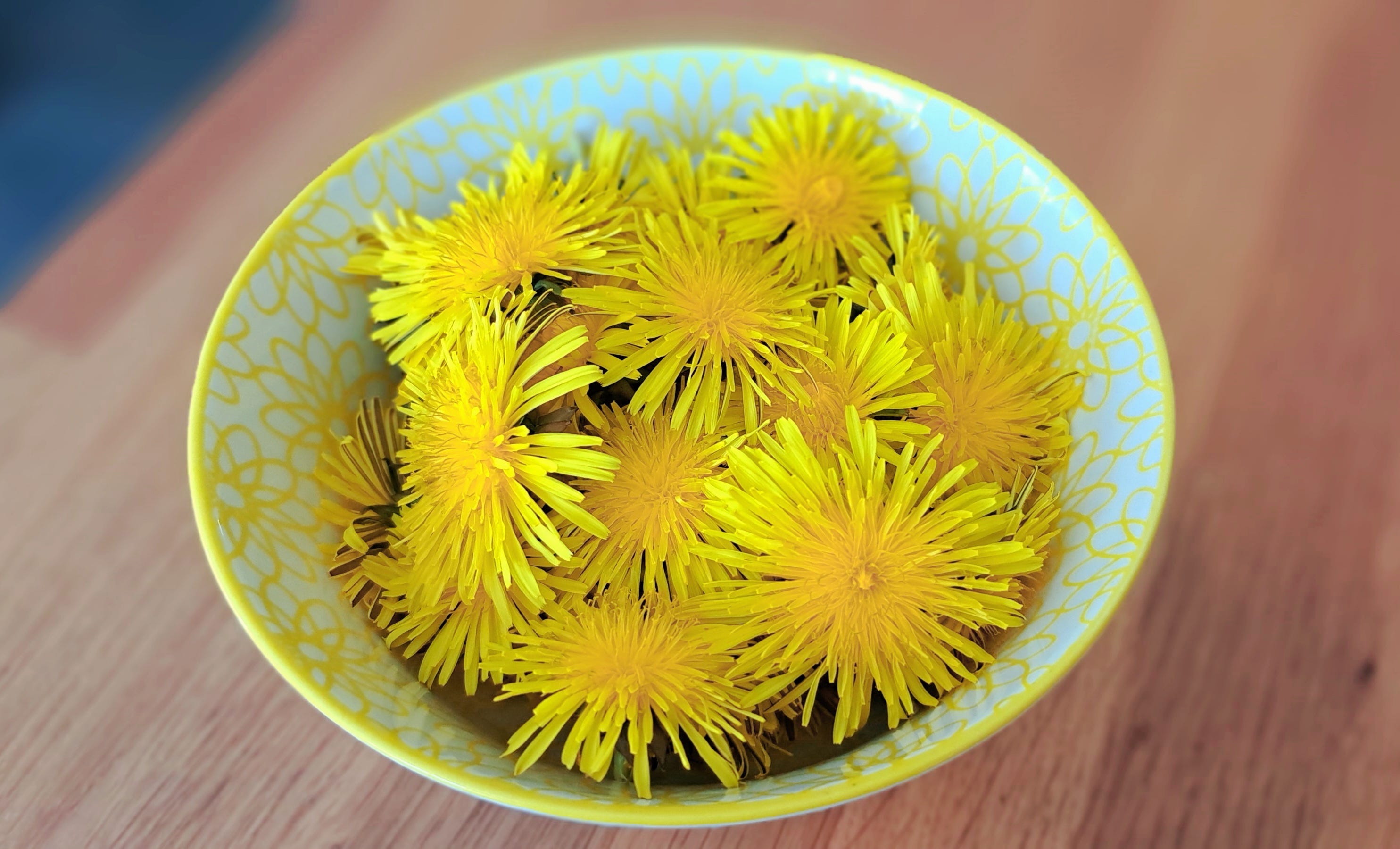 A white and yellow patterned bowl filled with dandelion flowers