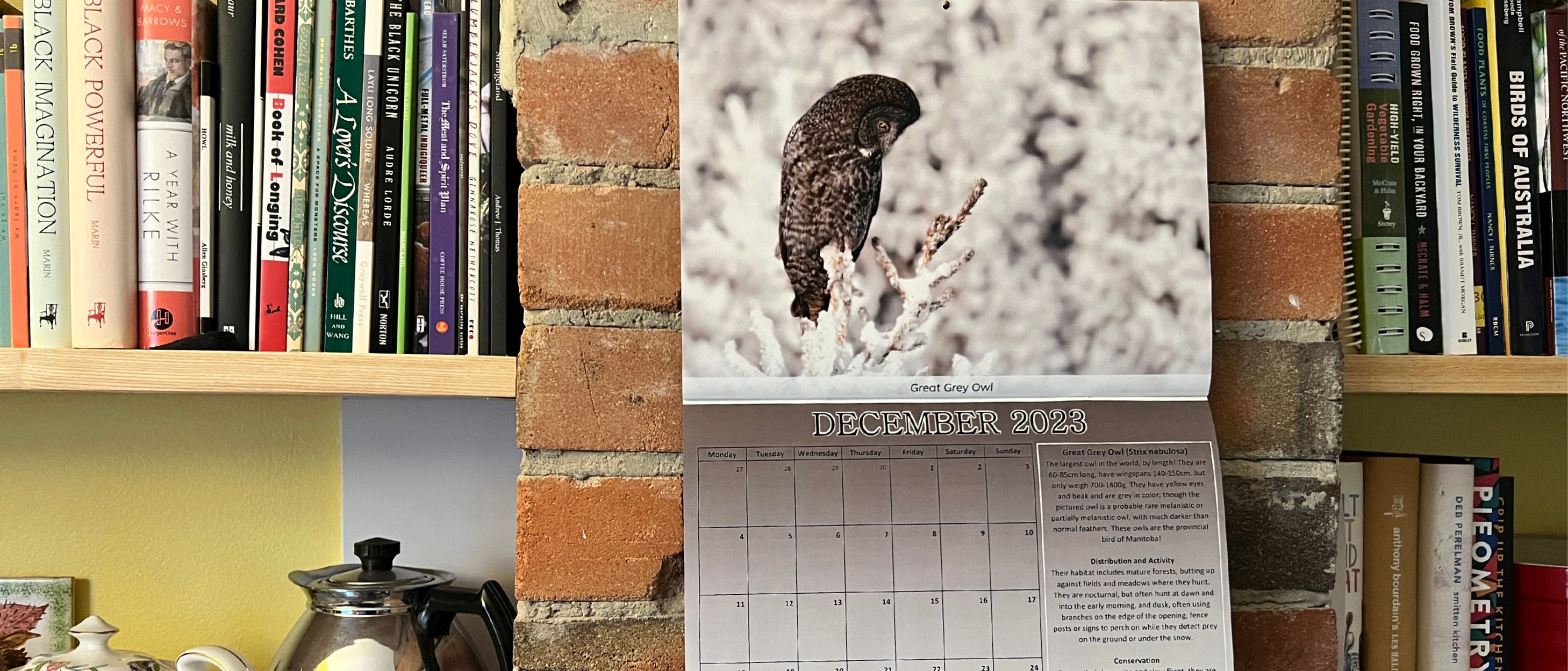 Photo of a calendar hanging on a brick chimney with wooden shelves either side. The calendar is set to December 2023 and features a photo of a Great Grey Owl on the top of a snowy tree. 