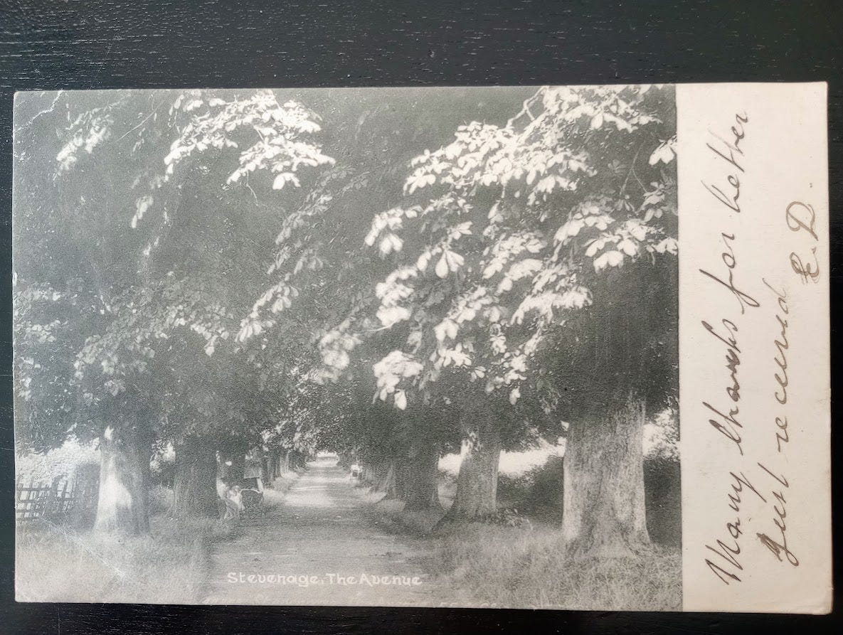 Postcard showing narrow trail between densely leaved horse chestnut trees plus message on side