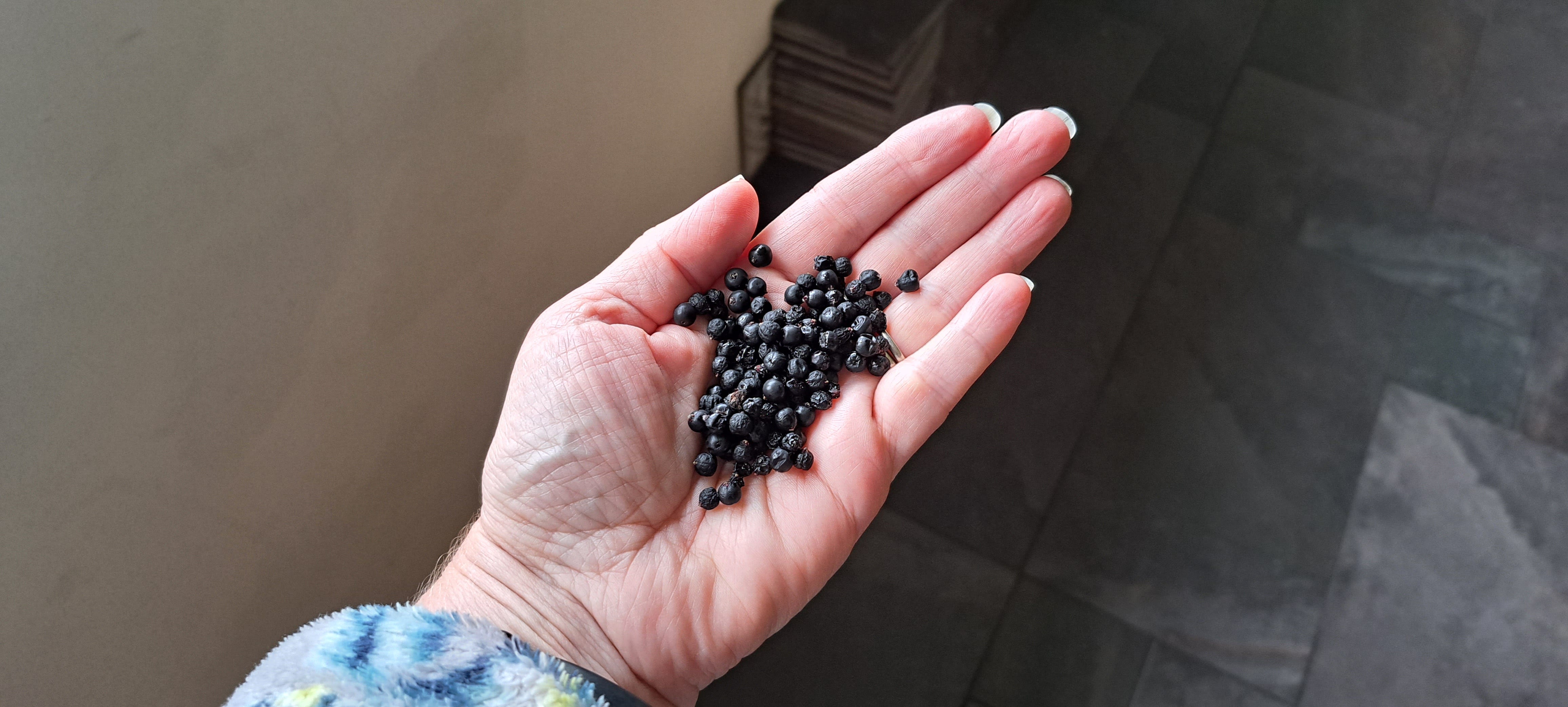 some tiny black elderberries held in the palm of my left hand.