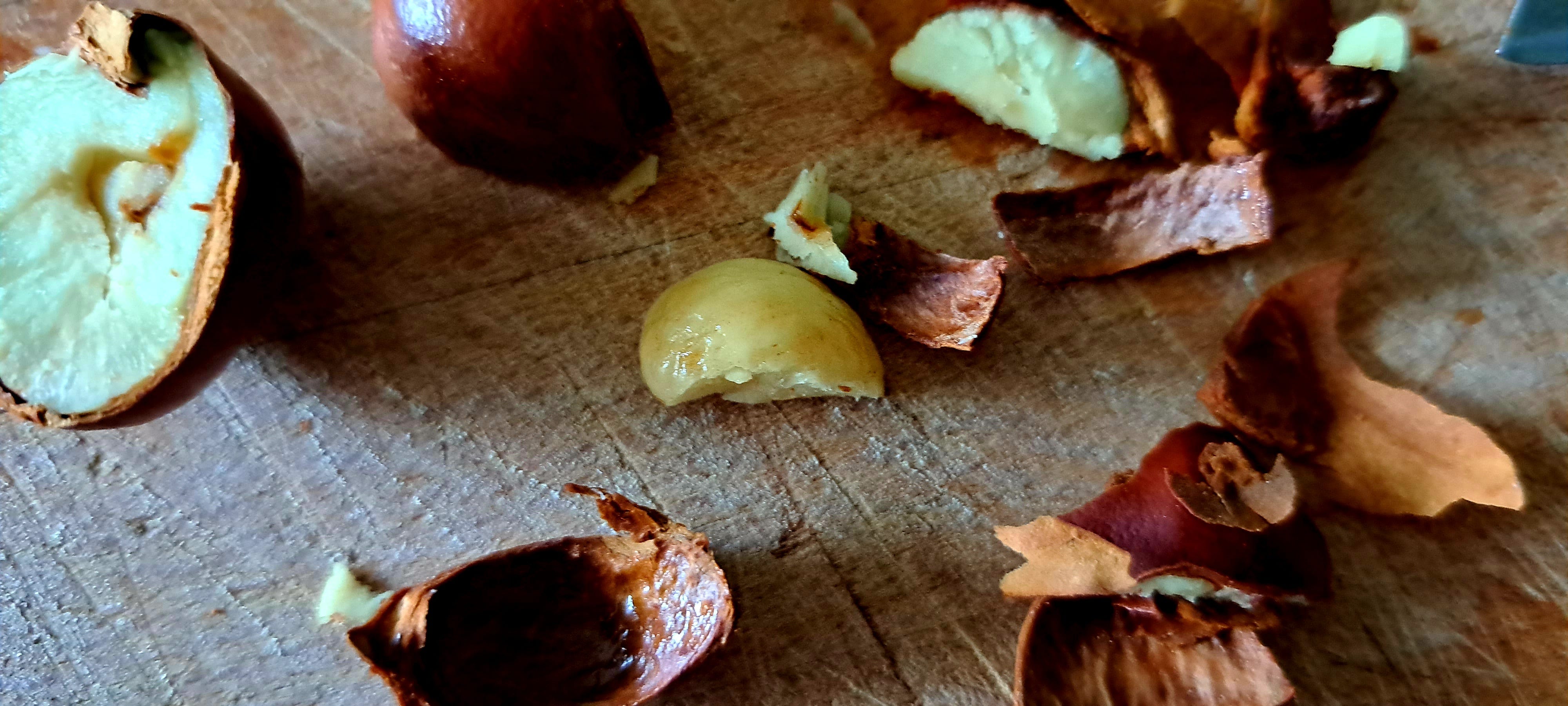 A closer look at the white fleshy part of the conker with brown skin removed.