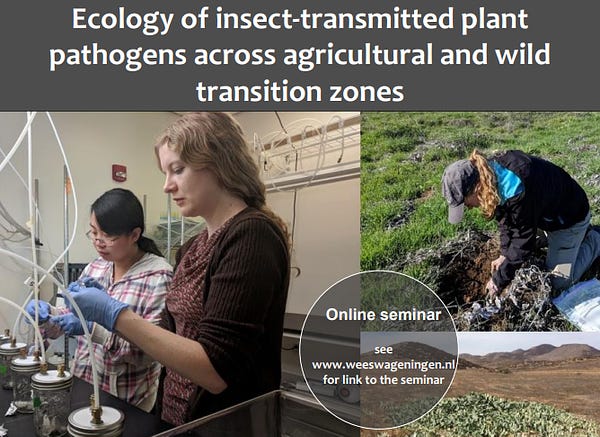 Seminar announcement. Title of the seminar: "Ecology of insect-transmitted plant pathogens across agricultural and wild transition zones". Three pictures are included, showing women scientists (including speaker Kerry Mauck) at work in the lab and in the field. The seminar will take place online and the link can be found at www.weeswageningen.nl.