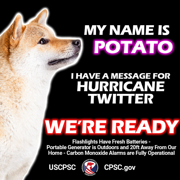 A dog named potato. The text reads: My name is potato. I have a message for hurricane twitter. We're ready. Flashlights have fresh batteries. Portable generator is outdoors and 20ft away from our home. Carbon monoxide alarms are fully operational.