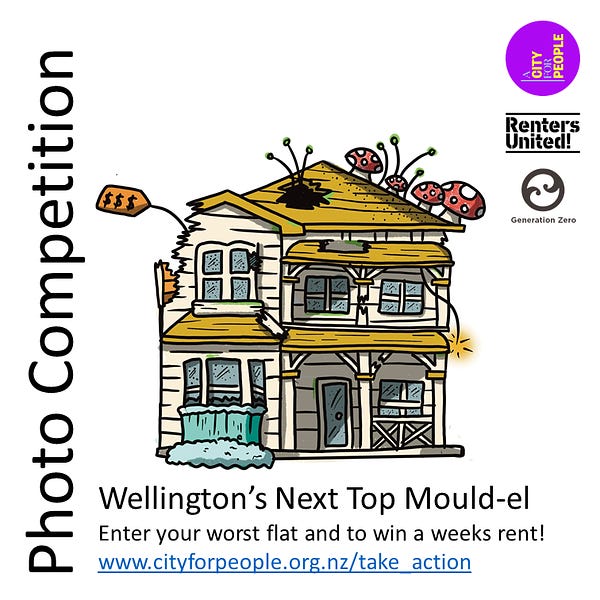 The image shows an illustration of an old house falling apart, with fungus growing off the top, holes in the roofs, a loose power cable, and a price tag attached to the side, on a blank background.

Text reads: Photo Competition. Wellington's Next Top Mould-el. Enter your worst flat and to win a weeks rent! www.cityforpeople.org.nz/take_action

The logos of A City For People, Renters United, and Generation Zero are displayed on the right side.