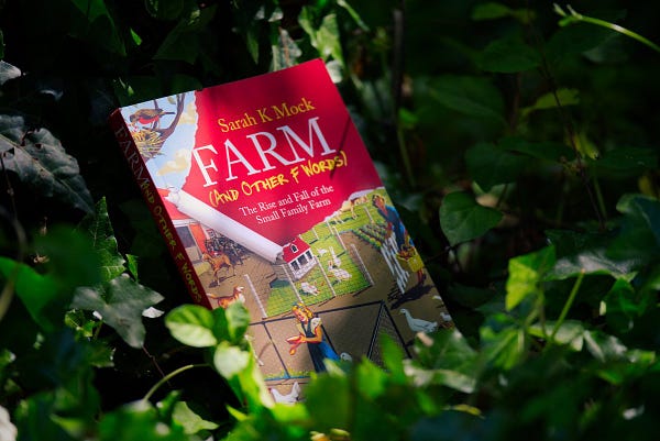 Sarah Mock's "Farm (And Other F Words)" book resting in a pool of sunlight in the shade against a tree, surrounded by ivy leaves