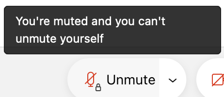 You're muted and you can't unmute yourself