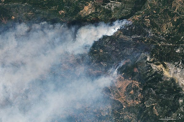 Fires in the hills north of Alanya, Turkey on July 31, 2021 as seen by Landsat 8.