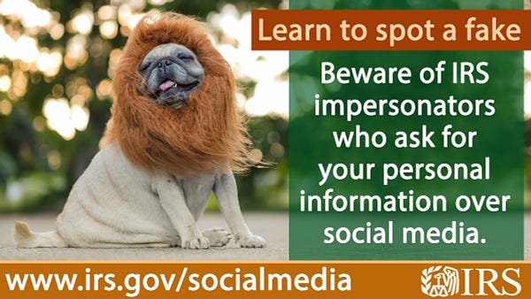 Dog dressed as a lion. Text reads: Learn to spot a fake. Beware of IRS impersonators who ask for personal information on social media. IRS logo displayed and URL: www.irs.gov/socialmedia