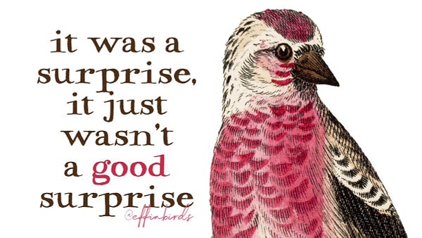 A painting of a bird beside the text "it was a surprise, it just wasn't a good surprise"
