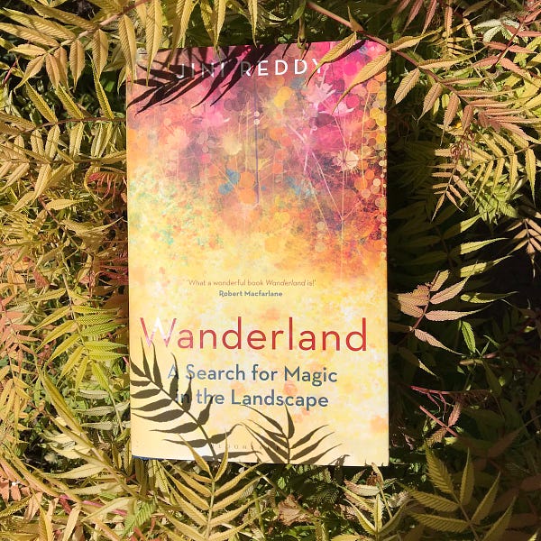 Cover of the book Wanderland by Jini Reddy