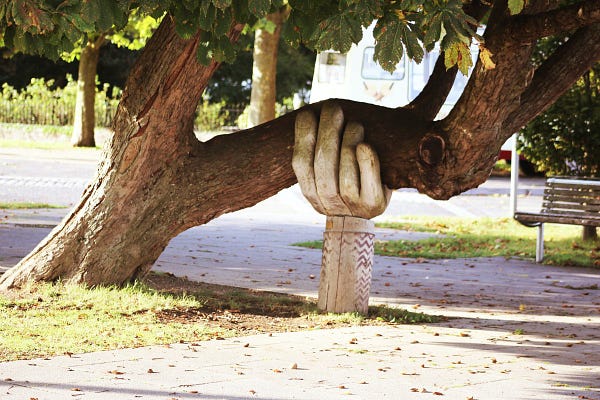 A wooden hand supports an aged tree