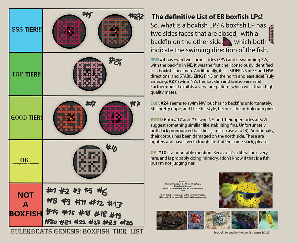 Here is the guide and infographics how to identify your boxfish. All EulerBeats are great, but boxfish EulerBeats are awesome. #eulerbeats #nft #crypto # duedilligence #boxfish #generativeBoxfishMusic