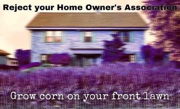 Shaky bad picture of hold farm house with purple tint. It says “Reject your home owners association. Grow corn on your front lawn”