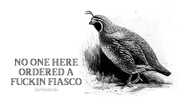 A woodcut of a bird beside the text "no one here ordered a fuckin fiasco"