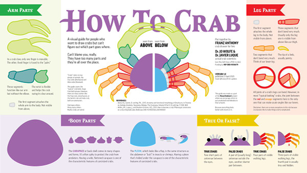 crab drawing guide