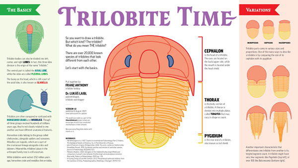 trilobite drawing guide