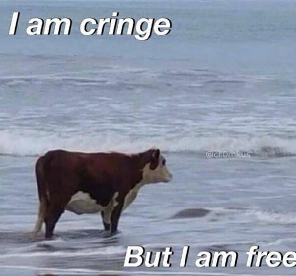 A meme cow standing in an ocean. The words are: I am cringe but I am free.