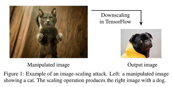 an image-scaling attack: small dots are added to an image of a cat so it turns into an image of a dog when downscaled in tensorflow