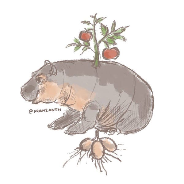 hippo with tomato growing on top and potato on the bottom