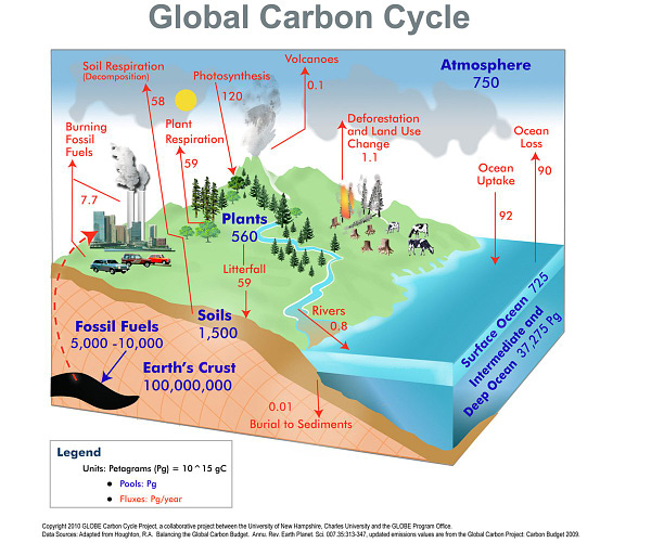 https://airs.jpl.nasa.gov/resources/155/global-carbon-cycle/
