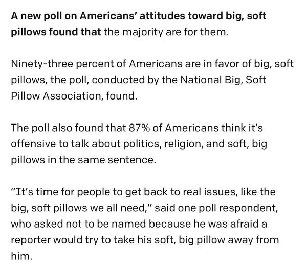 Screenshot of a GPT-3 AI-generated report on polling of the public’s opinions on soft fluffy pillows