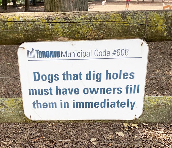 sign in dog park that reads: Toronto Municipal Code #608 - Dogs that dig holes must have owners fill them in immediately