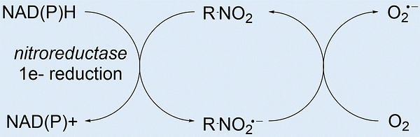 a chemical diagram of a nitro group redox cycle