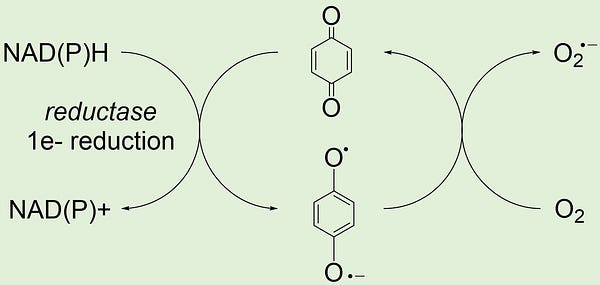 a chemical diagram of a quinone redox cycle