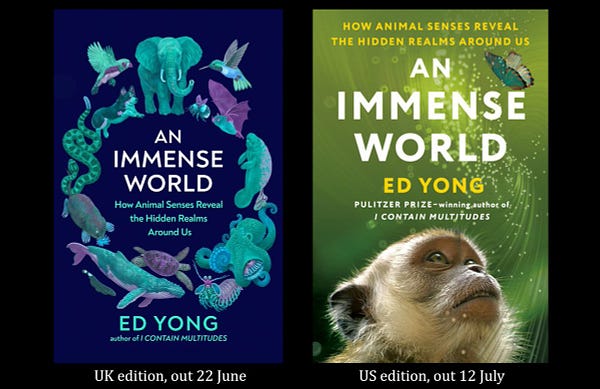 Two covers of An Immense World, one showing a ring of animals in otherworldly blue colors, and another showing a monkey looking wistfully at a butterfly. 
