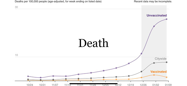 Deaths showing dramatic difference between vaccinated and unvaccinated.