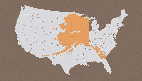 A map of the continental United States, with the shape of Alaska laid on top of it for size comparison. It stretches from the Canadian border down to north Texas vertically, the main bulk of it is wider than Texas, and the islands stretching away from it to the south go from Georgia to California. It's BIG.