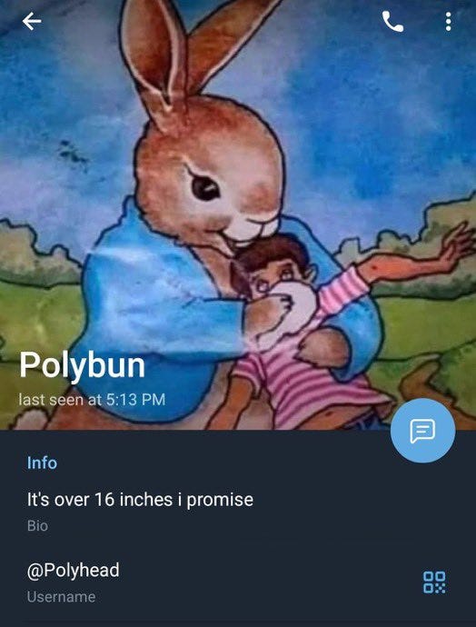 Cartoon shows a rabbit chloroforming a small child is again a poly bun quote on telegram