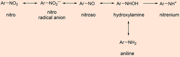 metabolic pathway of the nitro-aniline continuum. Ar-NO2 (nitro) <-> Ar-NO2.- (nitro radical anion) <-> Ar-NO (nitroso) <-> Ar-NHOH (hydroxylamine) <-> Ar-NH2 (aniline); Ar-NHOH (hydroxylamine) -> Ar-NH+ (nitrenium)