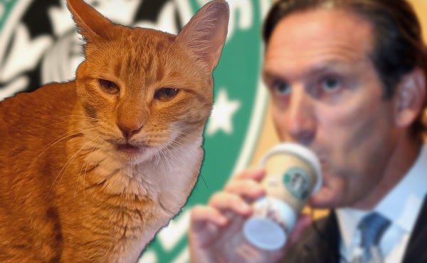 An orange cat is sitting with a grossed out expression on his face. In the background is a photo of Howard Schultz drinking from a weirdly small cup of starbucks coffee making a silly little sipper face with his pinky finger slightly elevated.