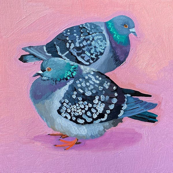 Oil painting of two pigeons on a pink background