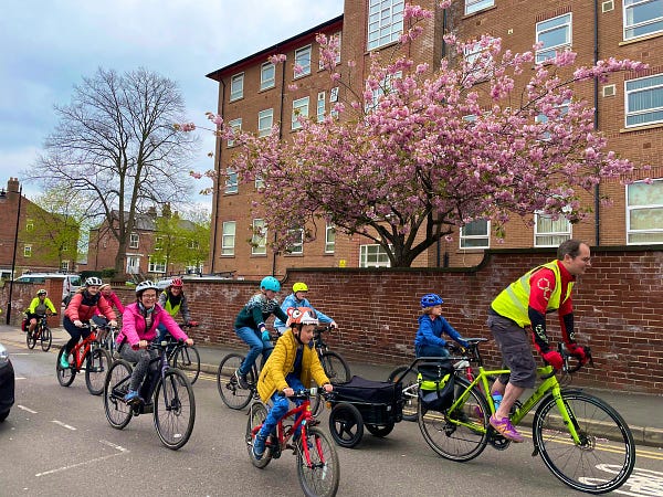 People cycling past cherry tree in blossom