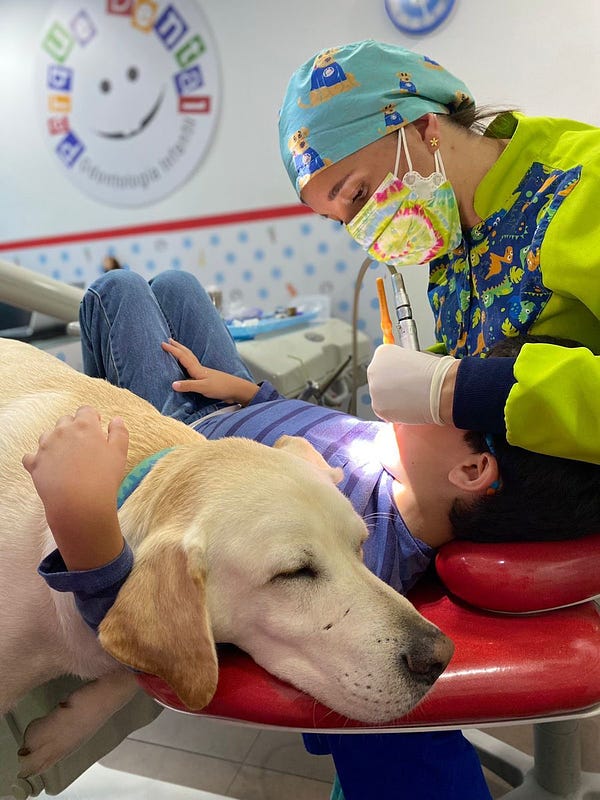 a dental professional in bright green scrubs and a tie-dye mask is actively working on a child, who is laying in a red dentist chair. the yellow lab is laying with them, and their left arm is wrapped around the lab’s neck
