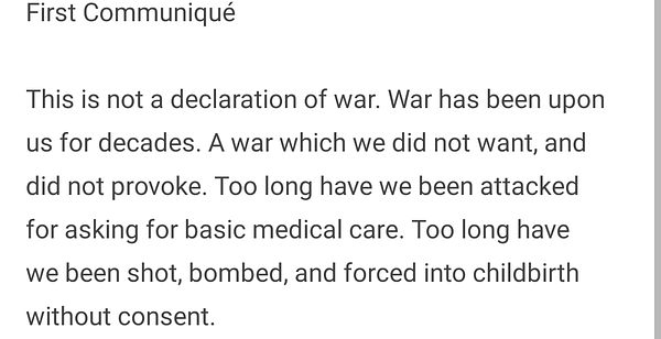 This is not a declaration of war. War has been upon us for decades. A war which we did not want, and did not provoke. Too long have we been attacked for asking for basic medical care. Too long have we been shot, bombed, and forced into childbirth without consent.