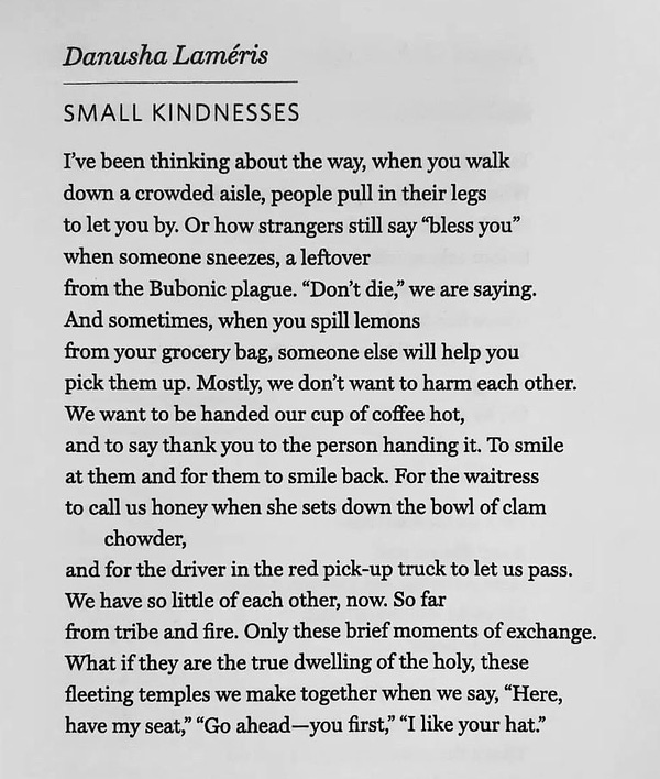 SMALL KINDNESSES

I've been thinking about the way, when you walk
down a crowded aisle, people pull in their legs
to let you by. Or how strangers still say "bless you"
when someone sneezes, a leftover
from the Bubonic plague. "Don't die," we are saying.
And sometimes, when you spill lemons
from your grocery bag, someone else will help you
pick them up. Mostly, we don't want to harm each other.
We want to be handed our cup of coffee hot,
and to say thank you to the person handing it. To smile
at them and for them to smile back. For the waitress
to call us honey when she sets down the bowl of clam
chowder,
and for the driver in the red pick-up truck to let us pass.
We have so little of each other, now. So far
from tribe and fire. Only these brief moments of exchange.
What if they are the true dwelling of the holy, these
fleeting temples we make together when we say, "Here,
have my seat," "Go ahead- you first," "I like your hat."