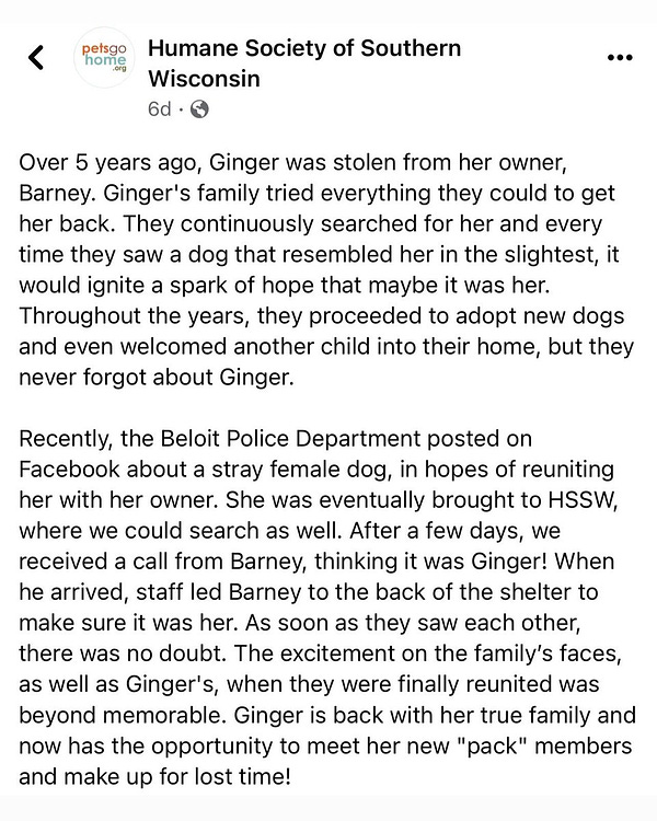 screengrab of a facebook post detailing Ginger’s journey. it reads, in part: “As soon as they saw each other, there was no doubt. The excitement on the family’s faces, as well as Ginger’s, when they were finally reunited was beyond memorable.”