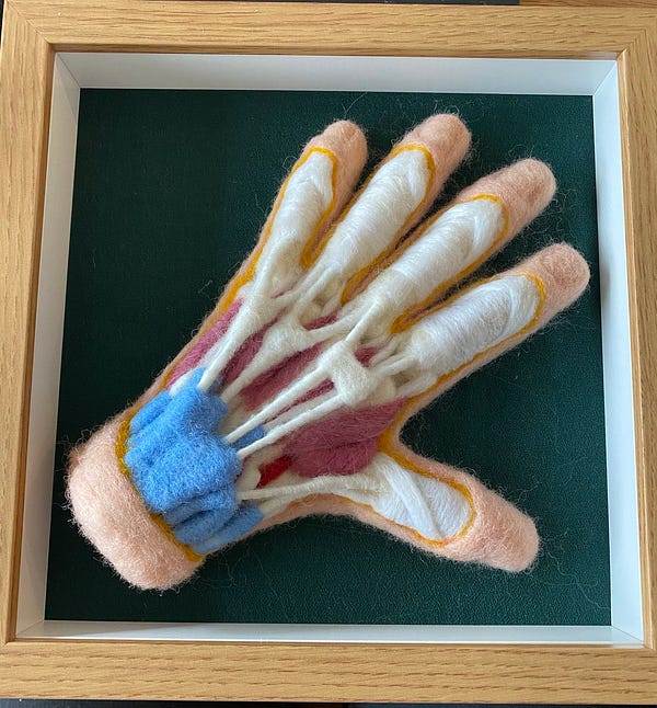 Felt artwork showing the dorsal view of a hand dissection, including tendons, ligaments, muscles, and connective tissues