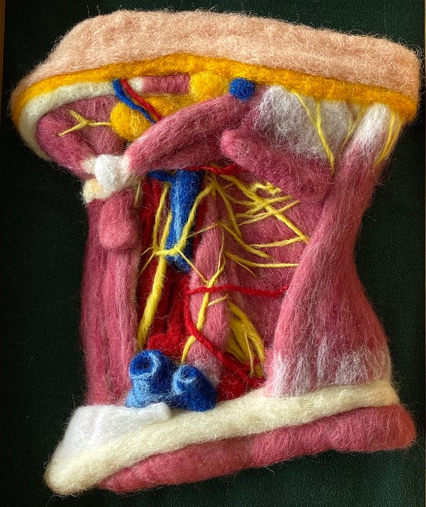 Felt artwork showing a dissection of the lateral view of a neck (including muscles, blood vessels, nerves, etc.) based on an illustration by Netter